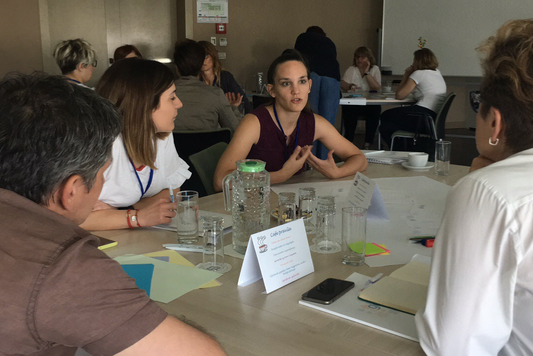 Certificirani program HR Master in Mentoring